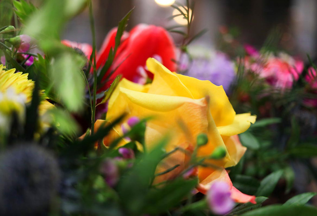 Les photos de Rouge Pivoine, fleuriste à Ramonville